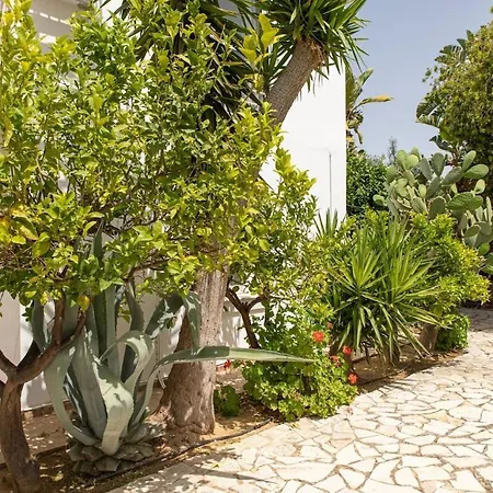 Xamadochori Vila Xamoudhokhorion (Crete)